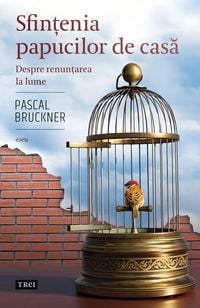 Produktbild: Sfin&iquest;enia papucilor de casa