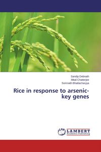 Produktbild: Rice in response to arsenic-key genes
