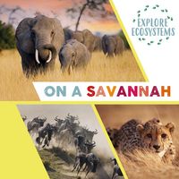 Produktbild: Explore Ecosystems: On a Savannah