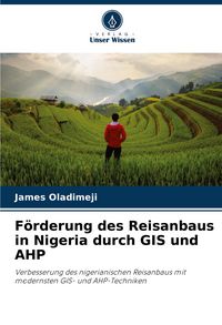 Produktbild: F&ouml;rderung des Reisanbaus in Nigeria durch GIS und AHP