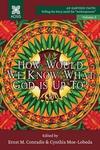 Produktbild: How Would we Know what God is up to?