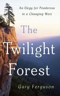 Produktbild: The Twilight Forest