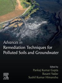 Produktbild: Advances in Remediation Techniques for Polluted Soils and Groundwater