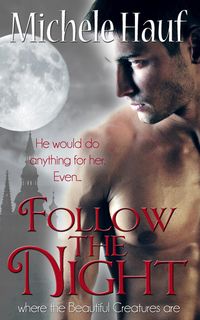 Produktbild: Follow The Night