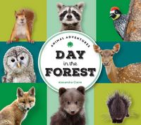 Produktbild: Animal Adventures: Day in the Forest