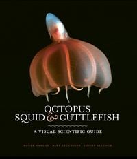 Produktbild: Octopus, Squid & Cuttlefish