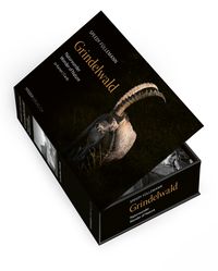 Produktbild: Postkartenbox Grindelwald