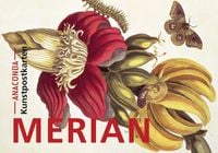 Produktbild: Postkarten-Set Maria Sibylla Merian
