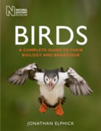 Produktbild: Birds