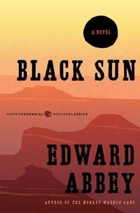 Produktbild: Black Sun