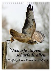 Produktbild: Scharfe Krallen, scharfe Augen, Greifv&ouml;gel und Eulen im Wildpark (Wandkalender 2027 DIN A4 hoch), CALVENDO Monatskalender