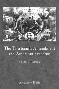 Produktbild: The Thirteenth Amendment and American Freedom