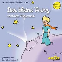 Produktbild: Der kleine Prinz vom lila Minimond
