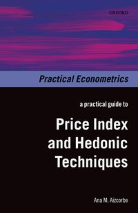 Produktbild: A Practical Guide to Price Index and Hedonic Techniques