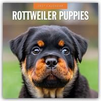 Produktbild: Rottweiler Puppies &ndash; Rottweiler Welpen 2027 &ndash; 16-Monatskalender