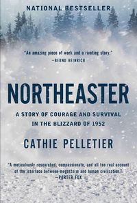 Produktbild: Northeaster