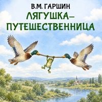 Produktbild: Lyagushka-puteshestvennitsa