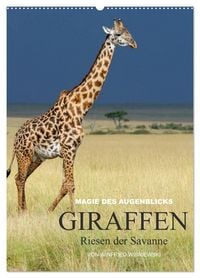 Produktbild: Magie des Augenblicks - Giraffen - Riesen der Savanne (Wandkalender 2027 DIN A2 hoch), CALVENDO Monatskalender