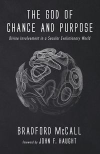 Produktbild: The God of Chance and Purpose