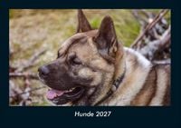 Produktbild: Hunde 2027 Fotokalender DIN A4