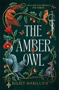 Produktbild: The Amber Owl