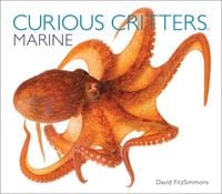 Produktbild: Curious Critters: Marine