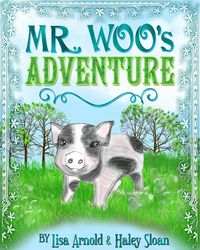 Produktbild: Mr. Woo's Adventure