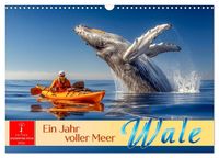Produktbild: Wale - ein Jahr voller Meer (Wandkalender 2026 DIN A3 quer), CALVENDO Monatskalender