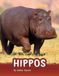 Produktbild: Hippos