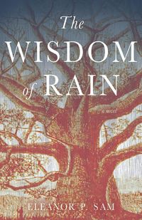 Produktbild: The Wisdom of Rain