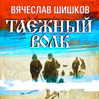 Produktbild: Taejny volk