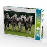 Produktbild: Ein starkes Gespann (Puzzle)