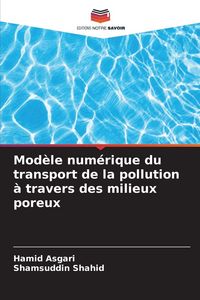 Produktbild: Mod&egrave;le num&eacute;rique du transport de la pollution &agrave; travers des milieux poreux