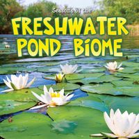 Produktbild: Seasons Of The Freshwater Pond Biome