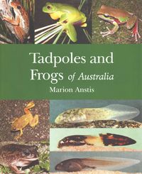 Produktbild: Anstis, M: Tadpoles and Frogs of Australia