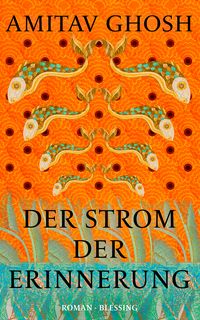 Produktbild: Der Strom der Erinnerung