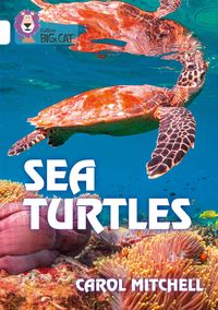 Produktbild: Sea Turtles