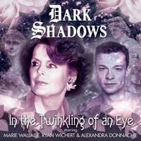 Produktbild: In the Twinkling of an Eye