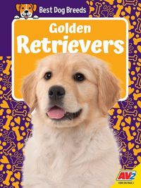 Produktbild: Golden Retrievers