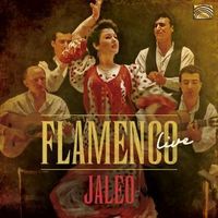 Bild vom Artikel Flamenco Live vom Autor Jaleo