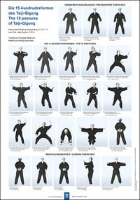 Produktbild: Die 15 Ausdrucksformen des Taiji Qigong Poster