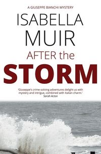 Produktbild: After the Storm