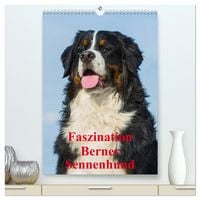 Produktbild: Faszination Berner Sennenhund (hochwertiger Premium Wandkalender 2026 DIN A2 hoch), Kunstdruck in Hochglanz