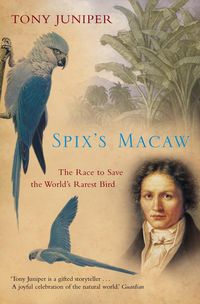 Produktbild: Spix's Macaw