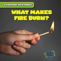 Produktbild: What Makes Fire Burn?