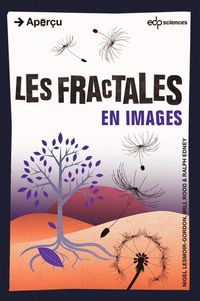 Produktbild: Les fractales en images