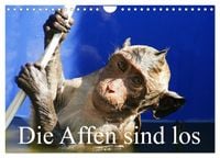 Produktbild: Die Affen sind los (Wandkalender 2026 DIN A4 quer), CALVENDO Monatskalender