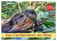 Produktbild: Das Familienleben der Biber (Tischkalender 2026 DIN A5 quer), CALVENDO Monatskalender