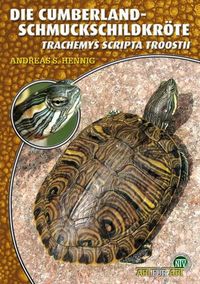 Produktbild: Die Cumberland-Schmuckschildkr&ouml;te