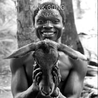 Bild vom Artikel Tanzania 2 vom Autor Kink Gong